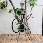 لاین کینگ دودی