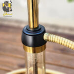 اتصالات قلیان کارمانیا وسط پاپیون طلایی